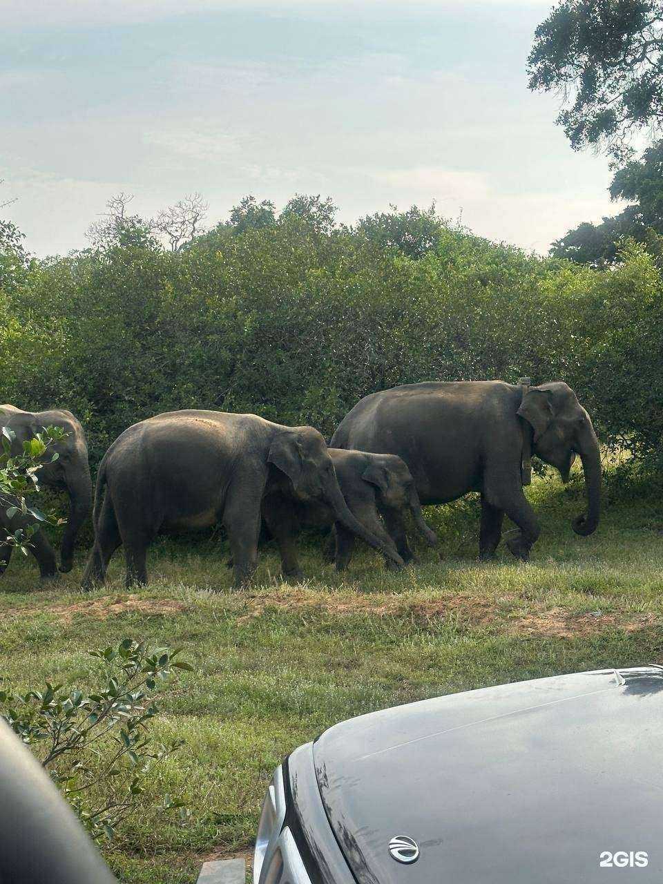 Отзывы на компанию Банк Горящих Туров в Бердске c фото