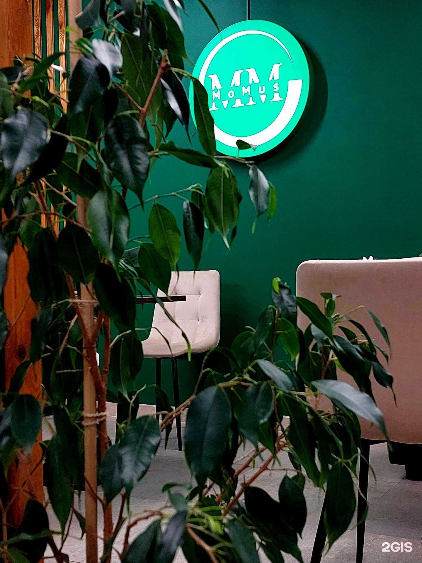 Отзывы на компанию MoMus в Воронеже c фото