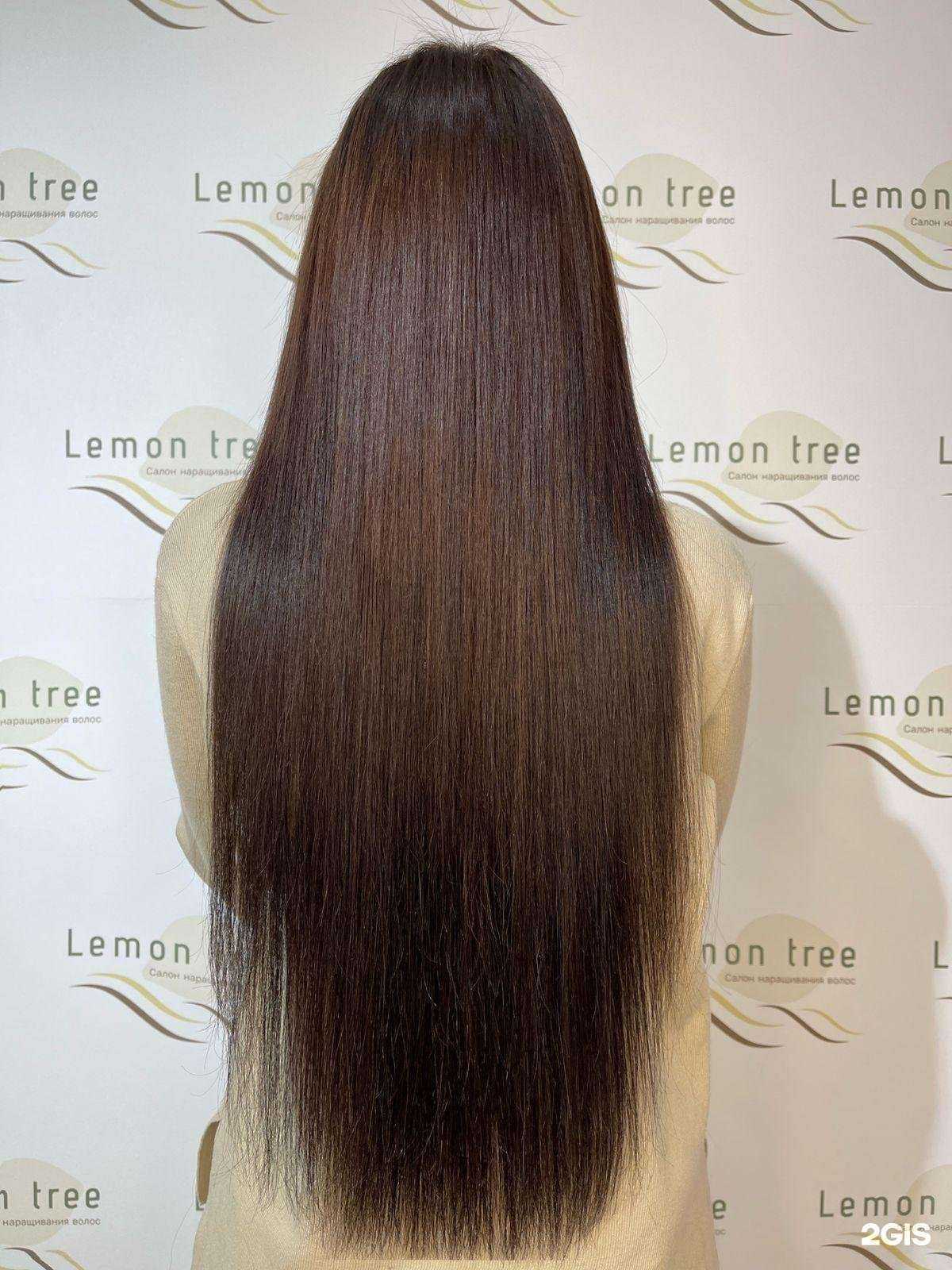 Отзывы на компанию Lemon Tree в Брянске c фото