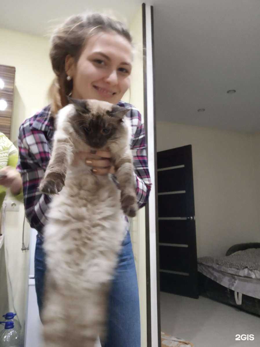 Отзывы на компанию Самарское ветеринарное объединение в г. Самара c фото