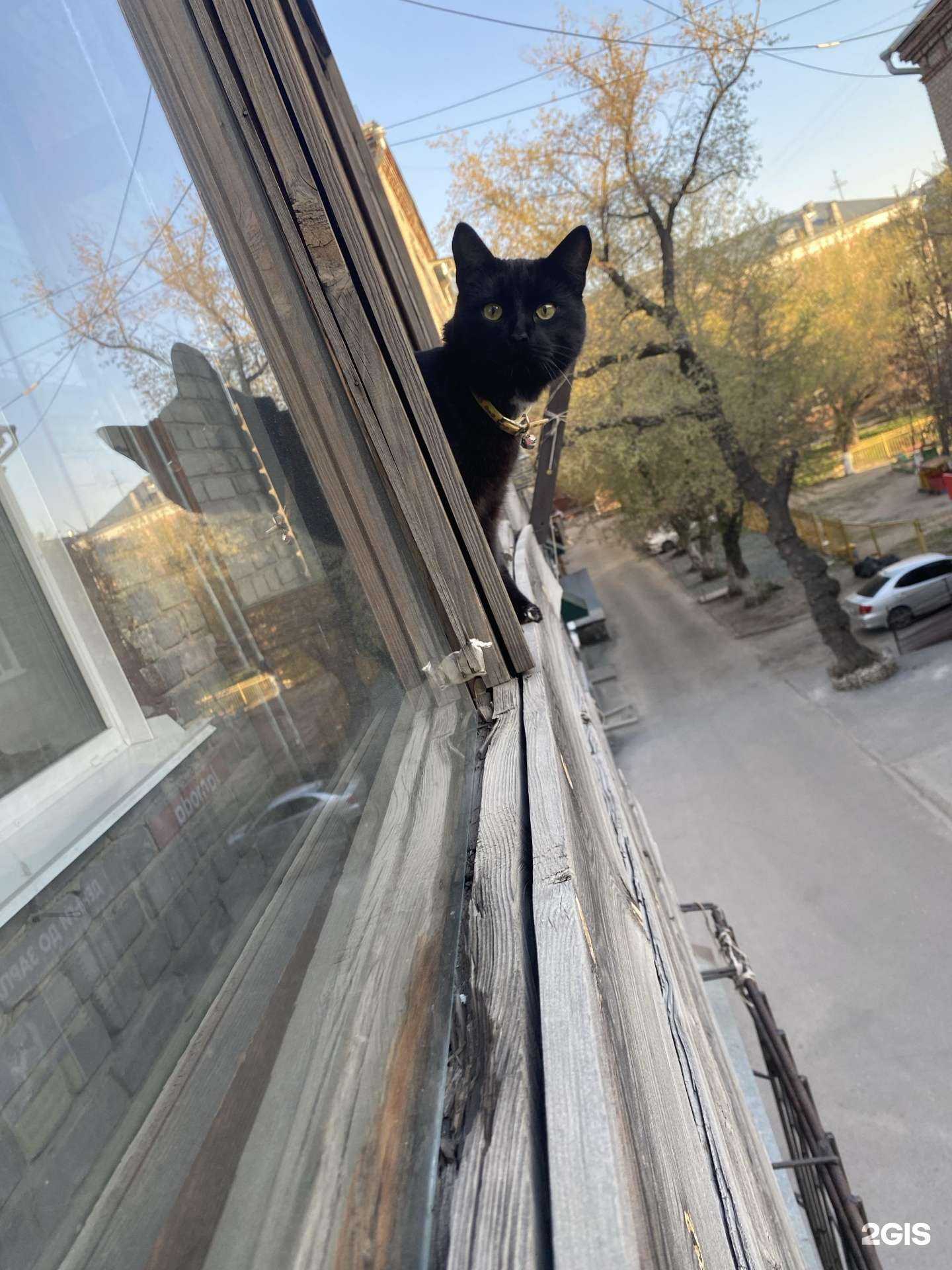 Отзывы на компанию Грин-Сервис в Барнауле c фото - фотография 2 из 2