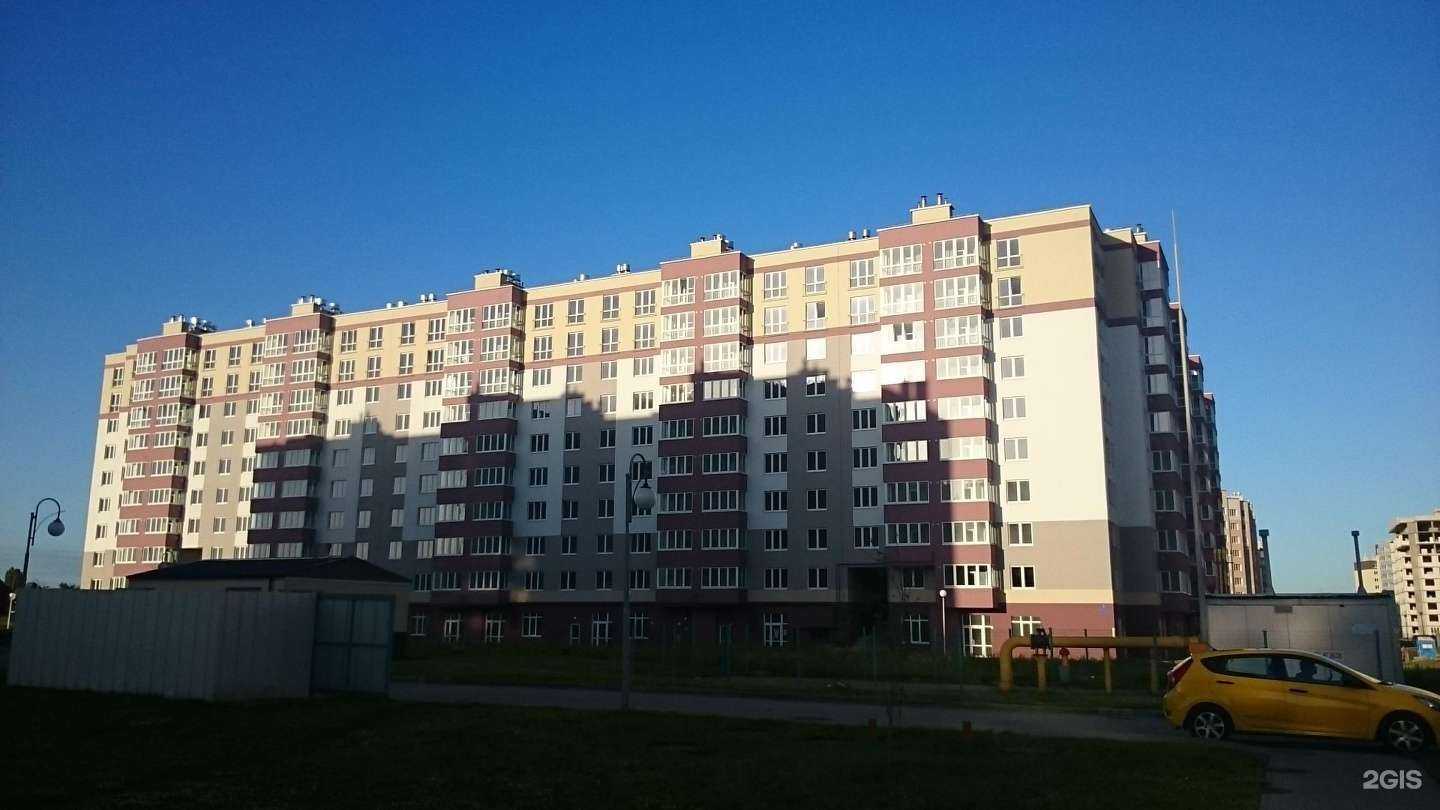 Отзывы на компанию Магазин цветов, шаров и подарков в Калининграде c фото - фотография 2 из 2