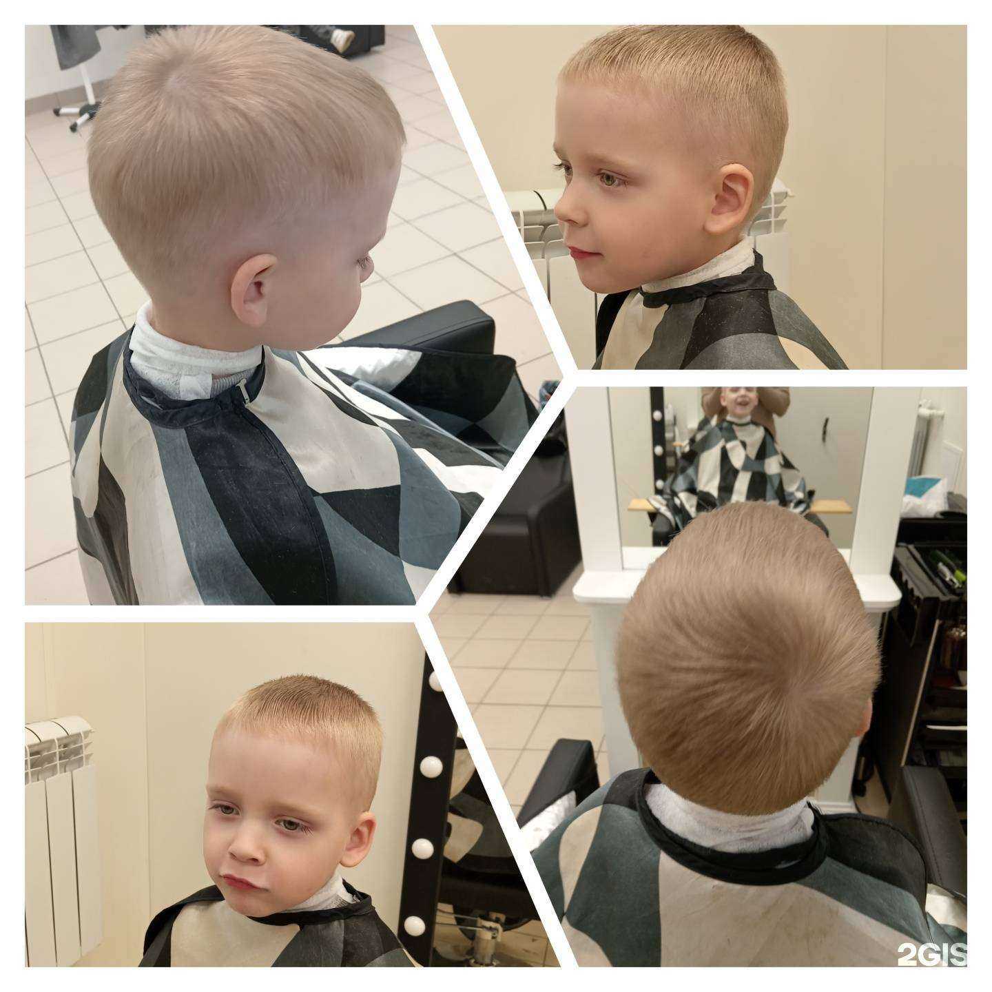 Отзывы на компанию Зебра в Архангельске c фото