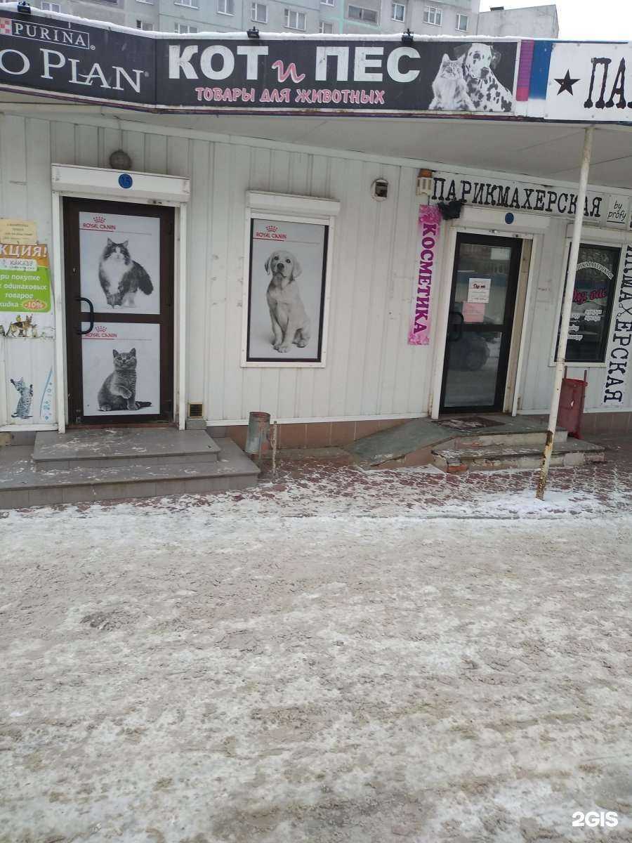 Отзывы на компанию Кот и Пёс в Калининграде c фото