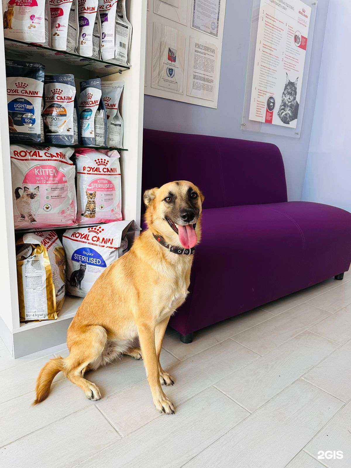 Отзывы на компанию Конечно, Вася! в г. Краснодар c фото