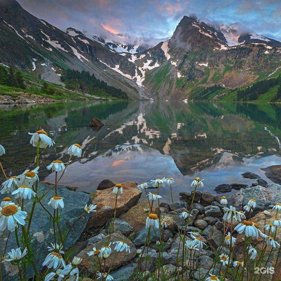 Отзывы на компанию Lb Алтай в Барнауле c фото