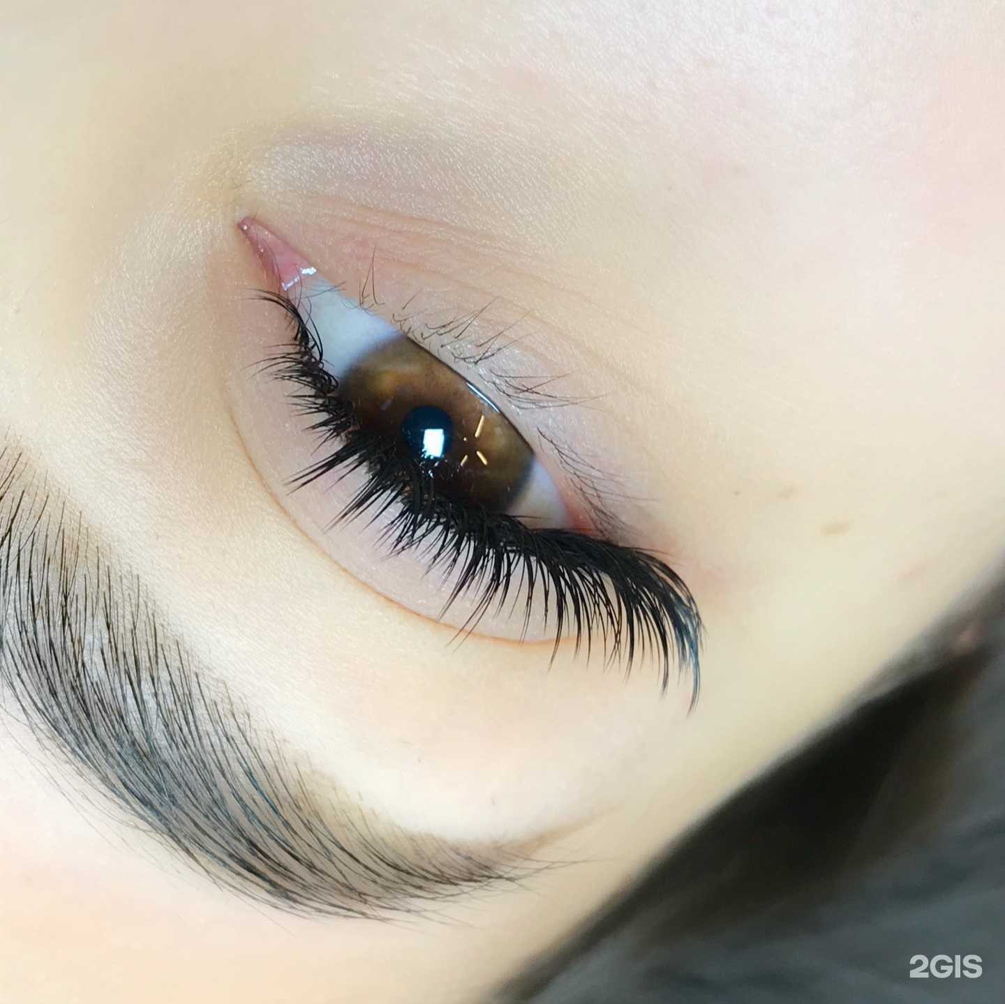 Отзывы на компанию Lash Expert  в г. Ростов-на-Дону c фото