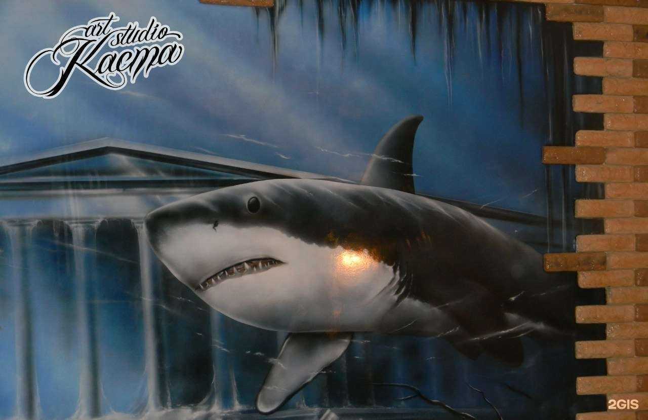 Отзывы на компанию Каста в г. Пенза c фото