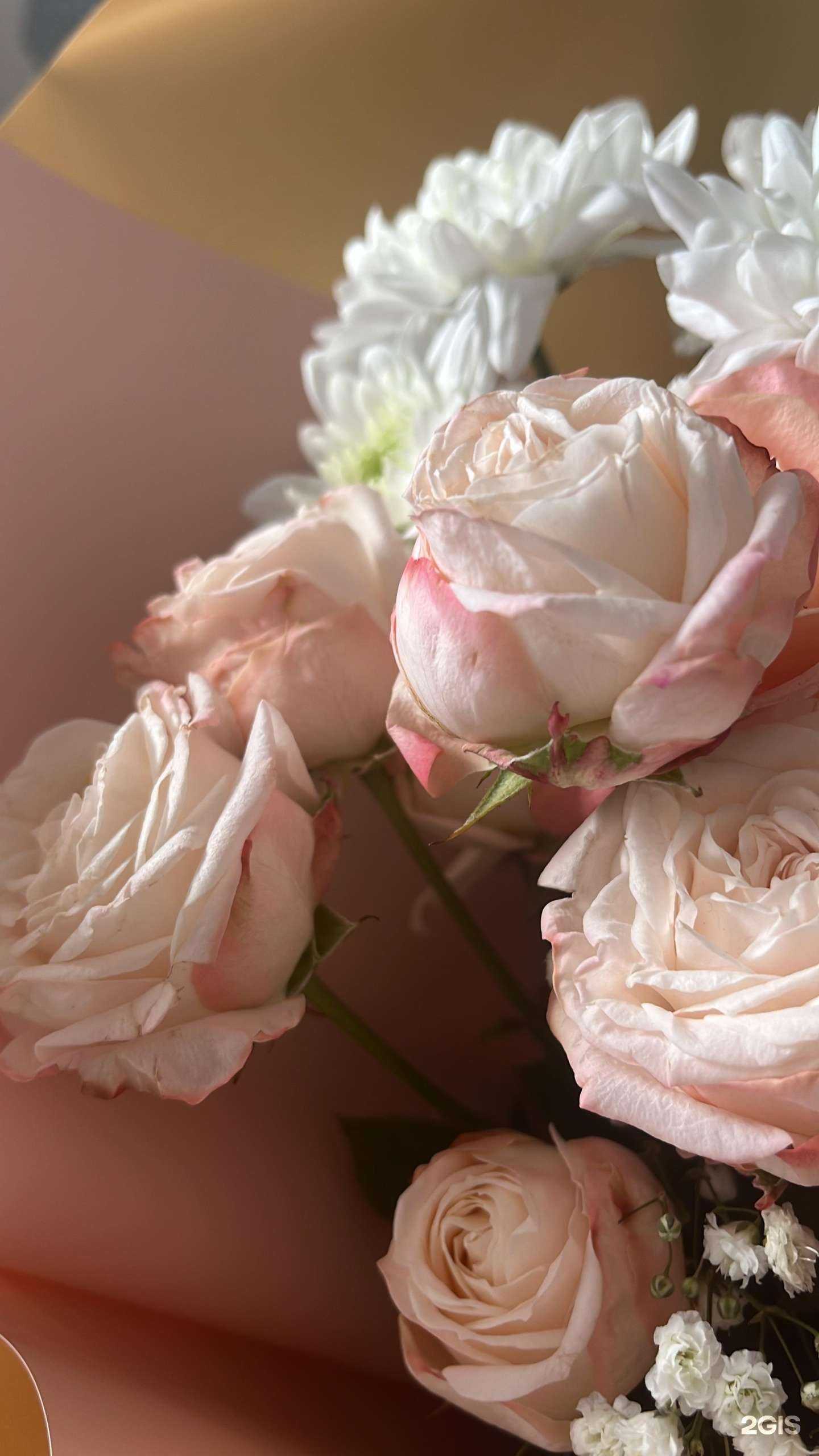 Отзывы на компанию Мальвис в Екатеринбурге c фото