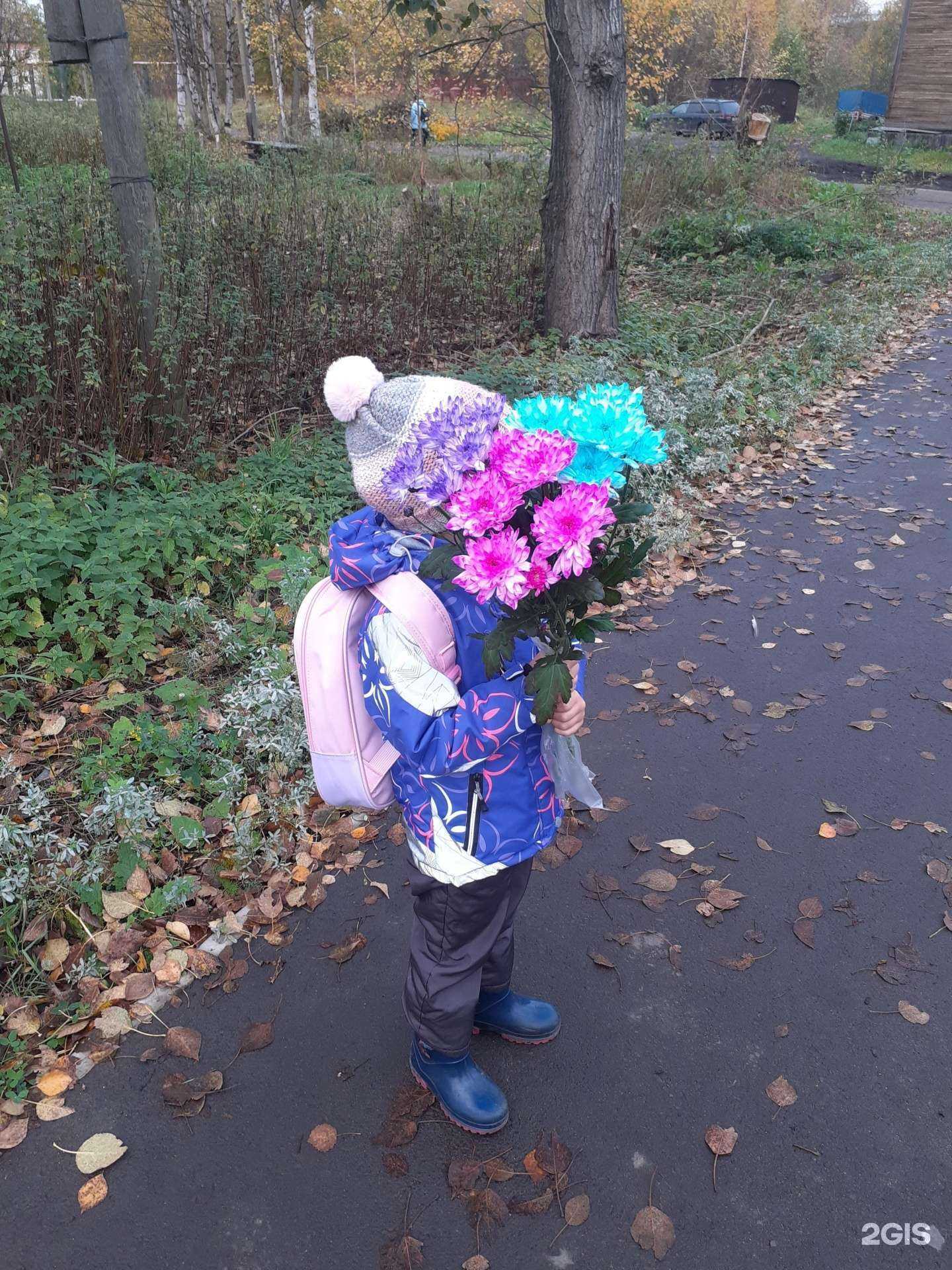 Отзывы на компанию Freedom в г. Архангельск c фото