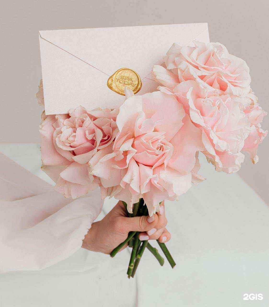 Отзывы на компанию SPAday в г. Сочи c фото