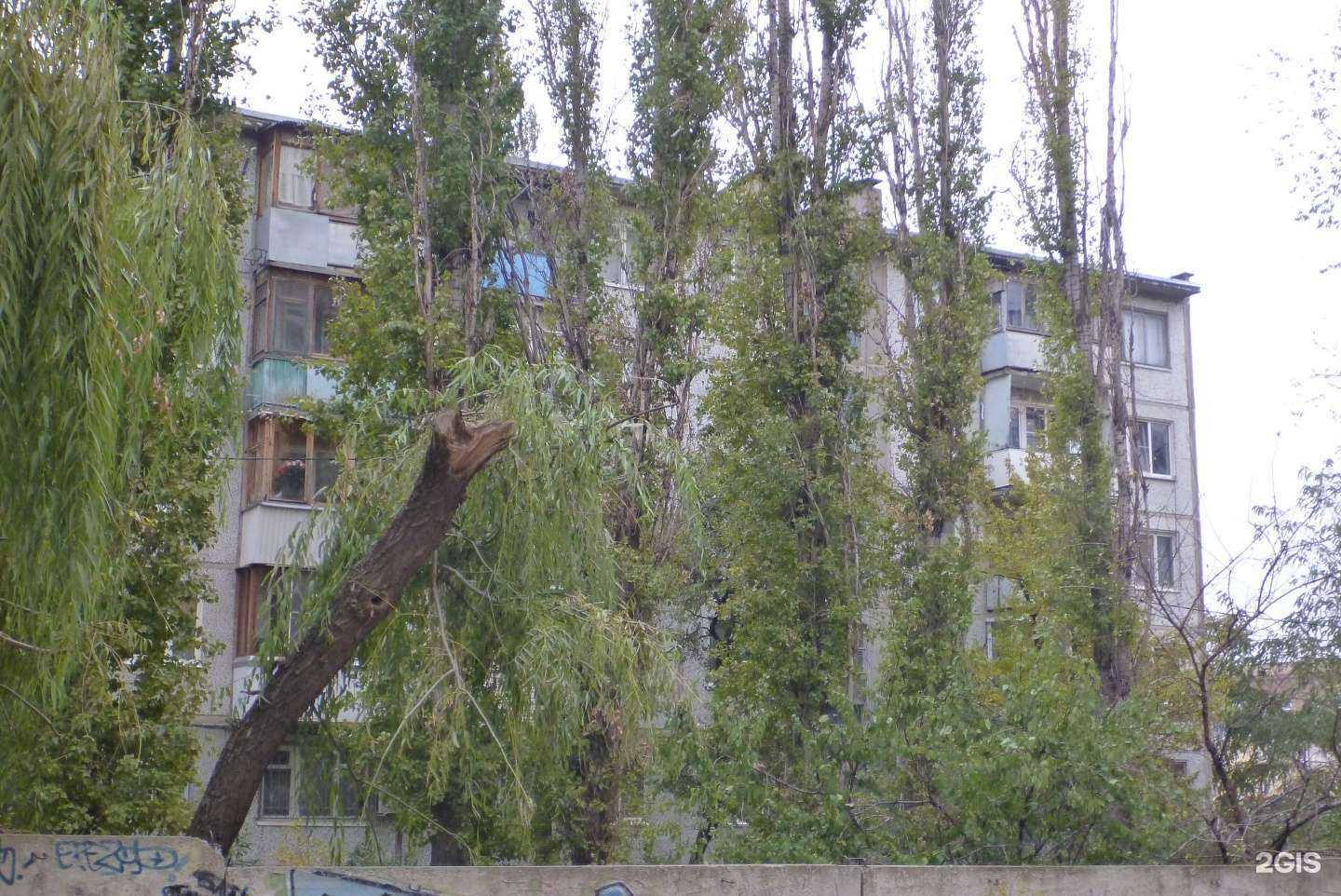 Отзывы на компанию Brow&DaBroww в Волгограде c фото - фотография 2 из 2