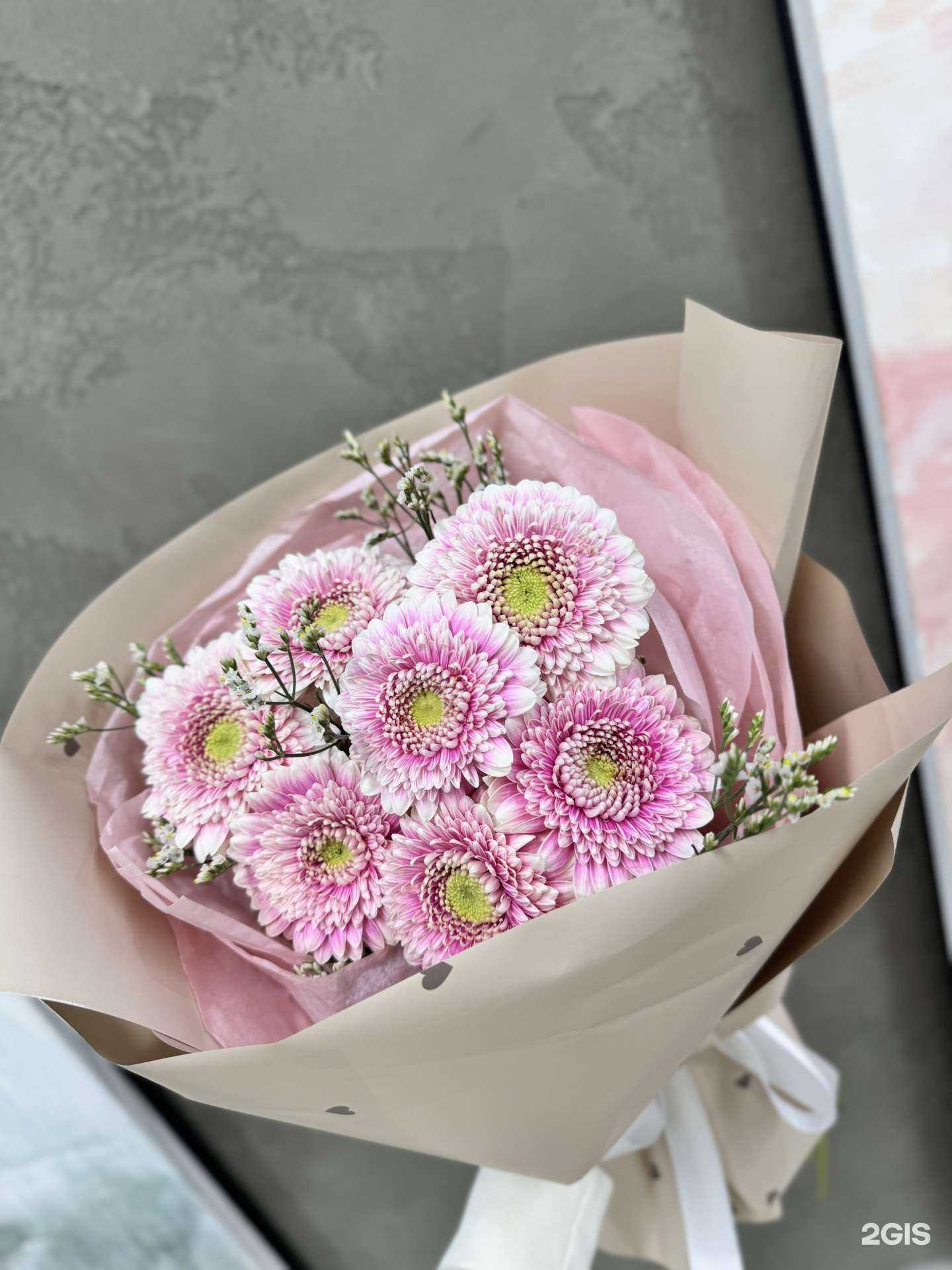 Отзывы на компанию Без Повода в г. Архангельск c фото