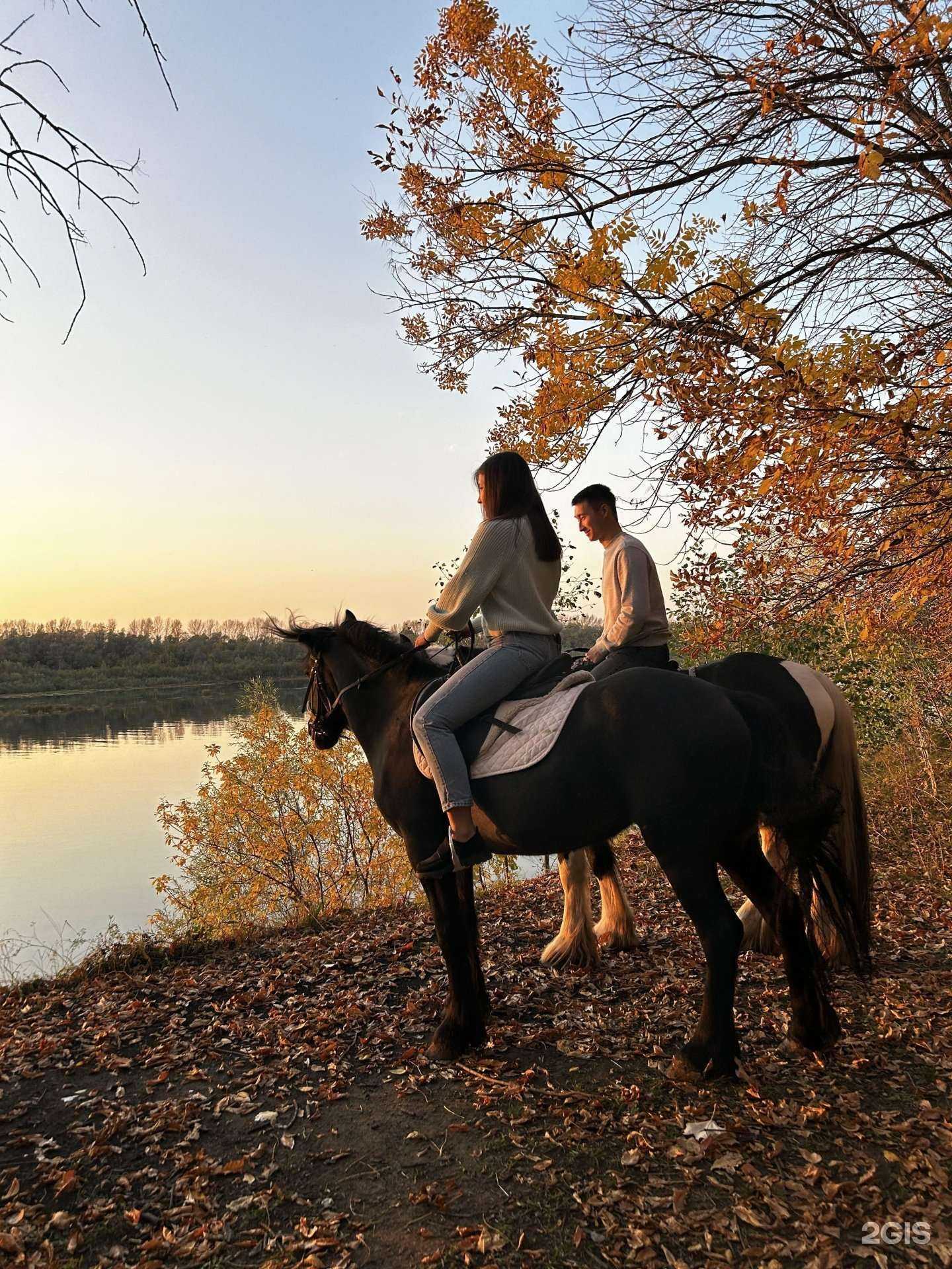 Отзывы на компанию Лошадкин парк в Уфе c фото