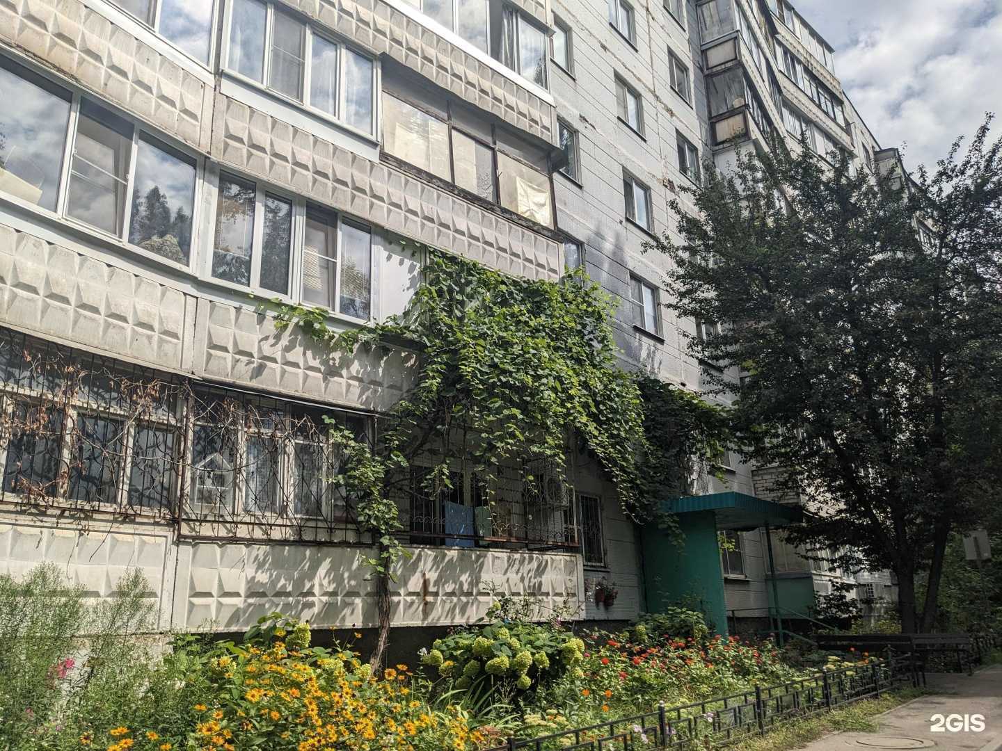 Отзывы на компанию Непоседы в Воронеже c фото - фотография 2 из 2