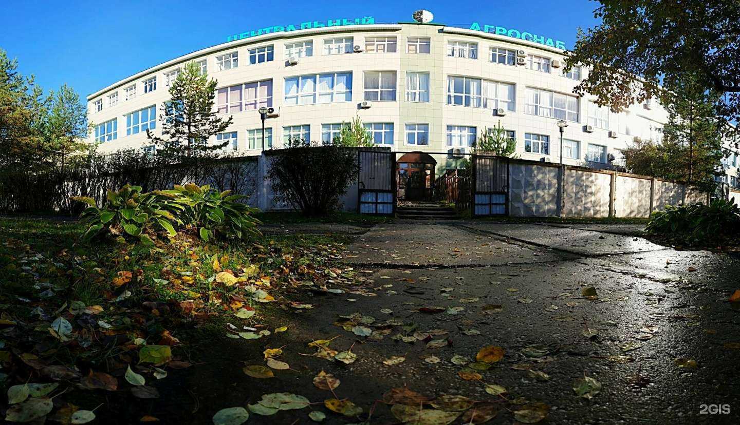 Отзывы на компанию D6 в Перми c фото - фотография 2 из 2