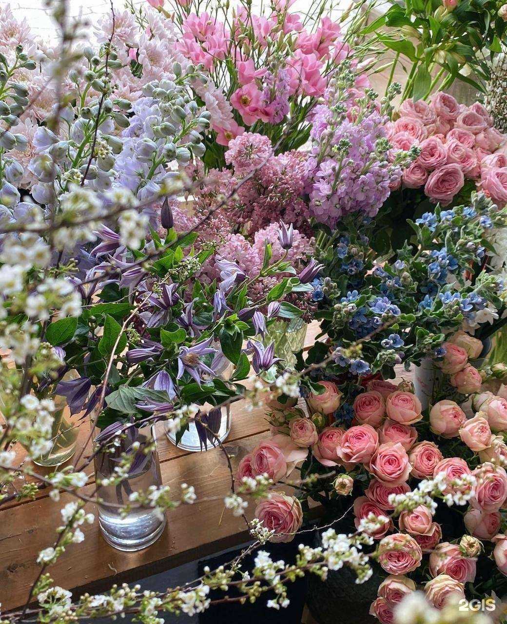 Отзывы на компанию So fresh в Калининграде c фото