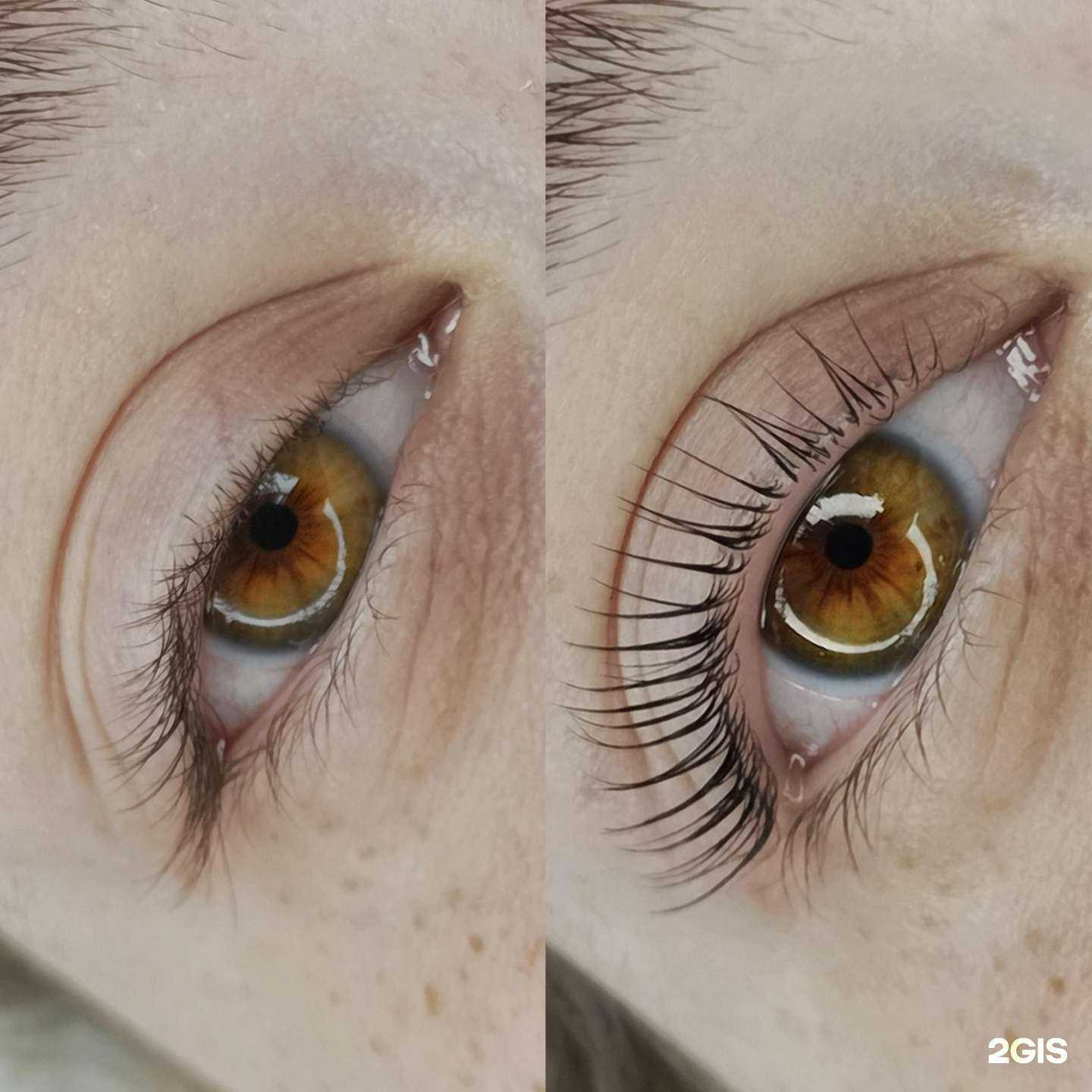 Отзывы на компанию LED Lashroom в г. Курган c фото