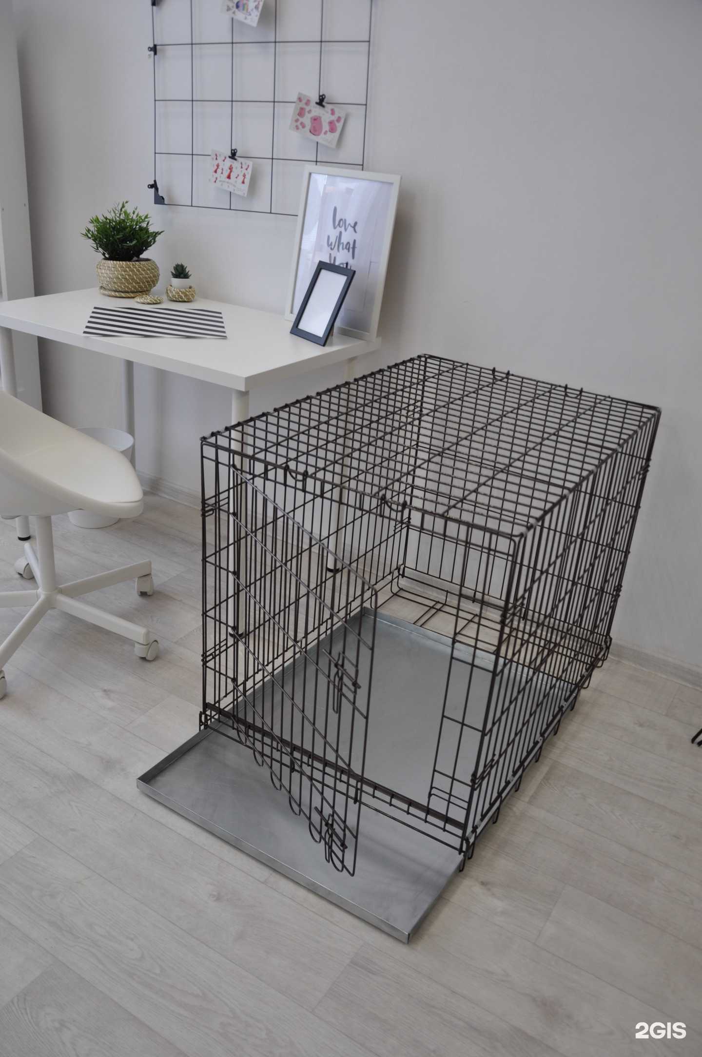 Отзывы на компанию Animal House в г. Бердск c фото