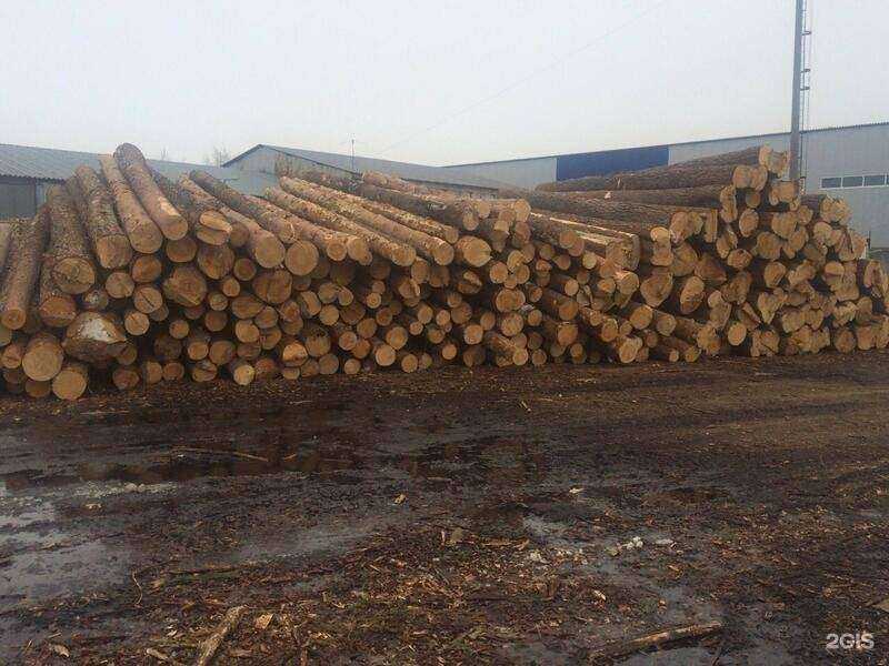 Отзывы на компанию Континент-СервисЛес-НН в Нижнем Новгороде c фото