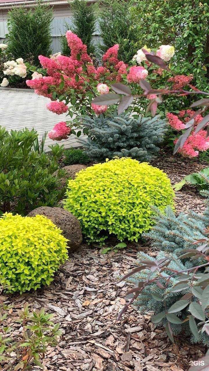 Отзывы на компанию HumanGarden в Владивостоке c фото