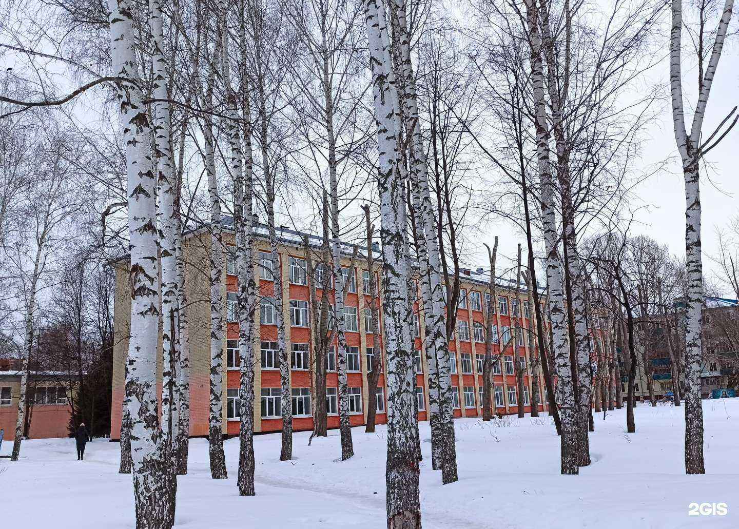 Отзывы на компанию Гимназия №8 в г. Казань c фото