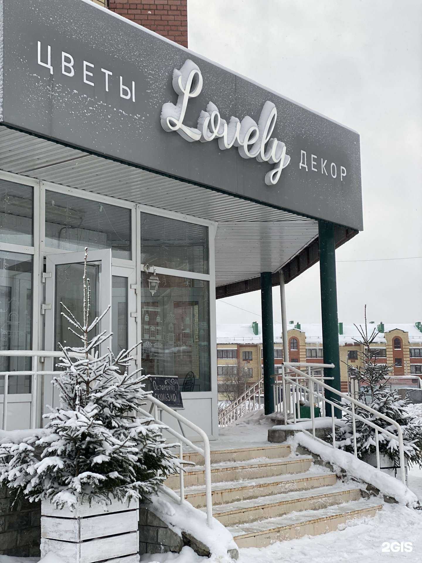 Отзывы на компанию Lovely в Череповце c фото