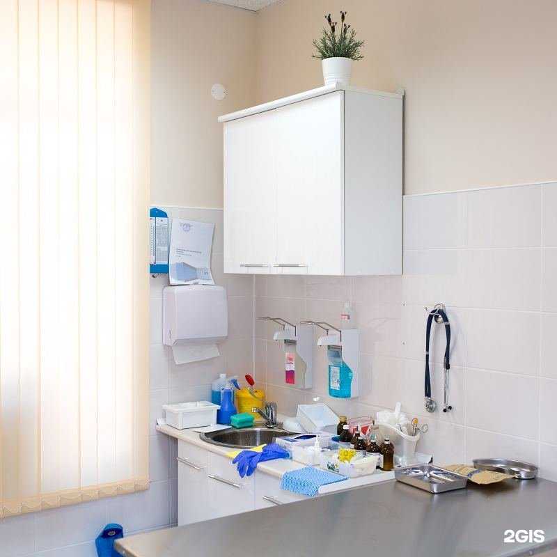 Отзывы на компанию Ирбис в Анапе c фото