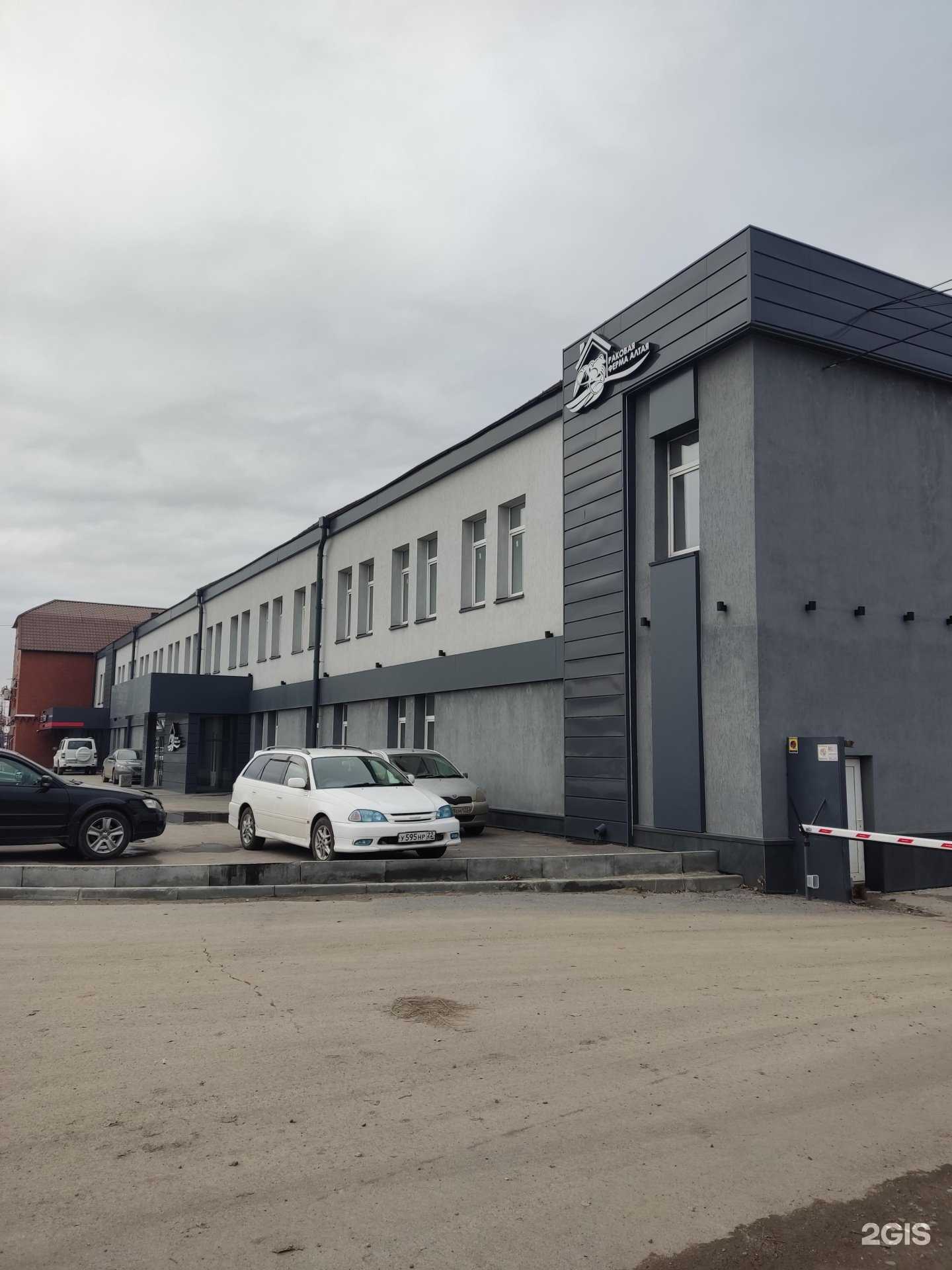 Отзывы на компанию Где раки в Барнауле c фото - фотография 2 из 2