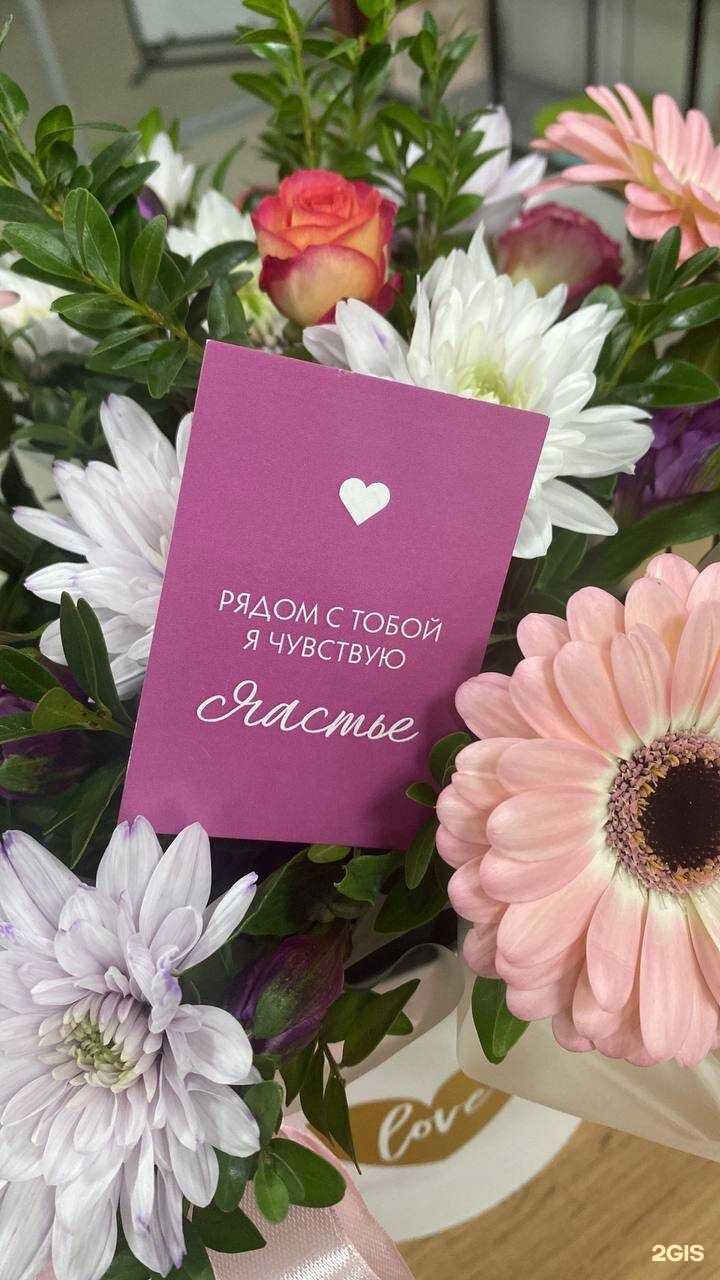 Отзывы на компанию Весна в Вязьме c фото