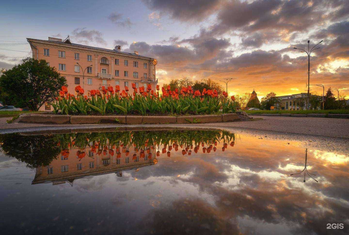 Отзывы на компанию Вот, блин! в Пскове c фото - фотография 2 из 2