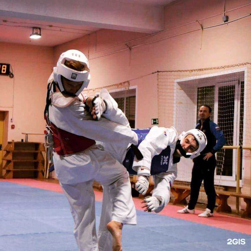 Отзывы на компанию Tkd24 в г. Красноярск c фото