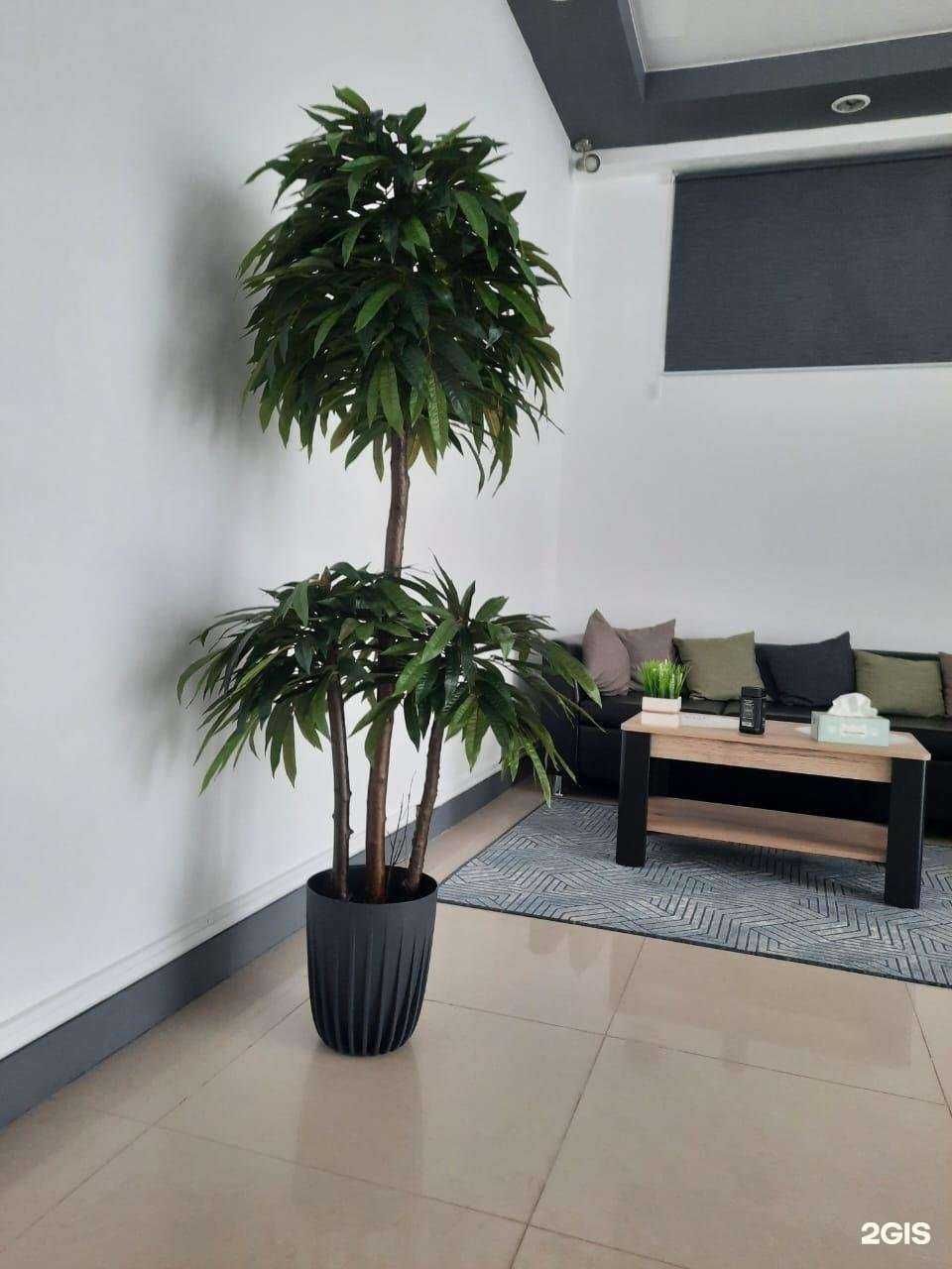 Отзывы на компанию АибисмаХ в Махачкале c фото