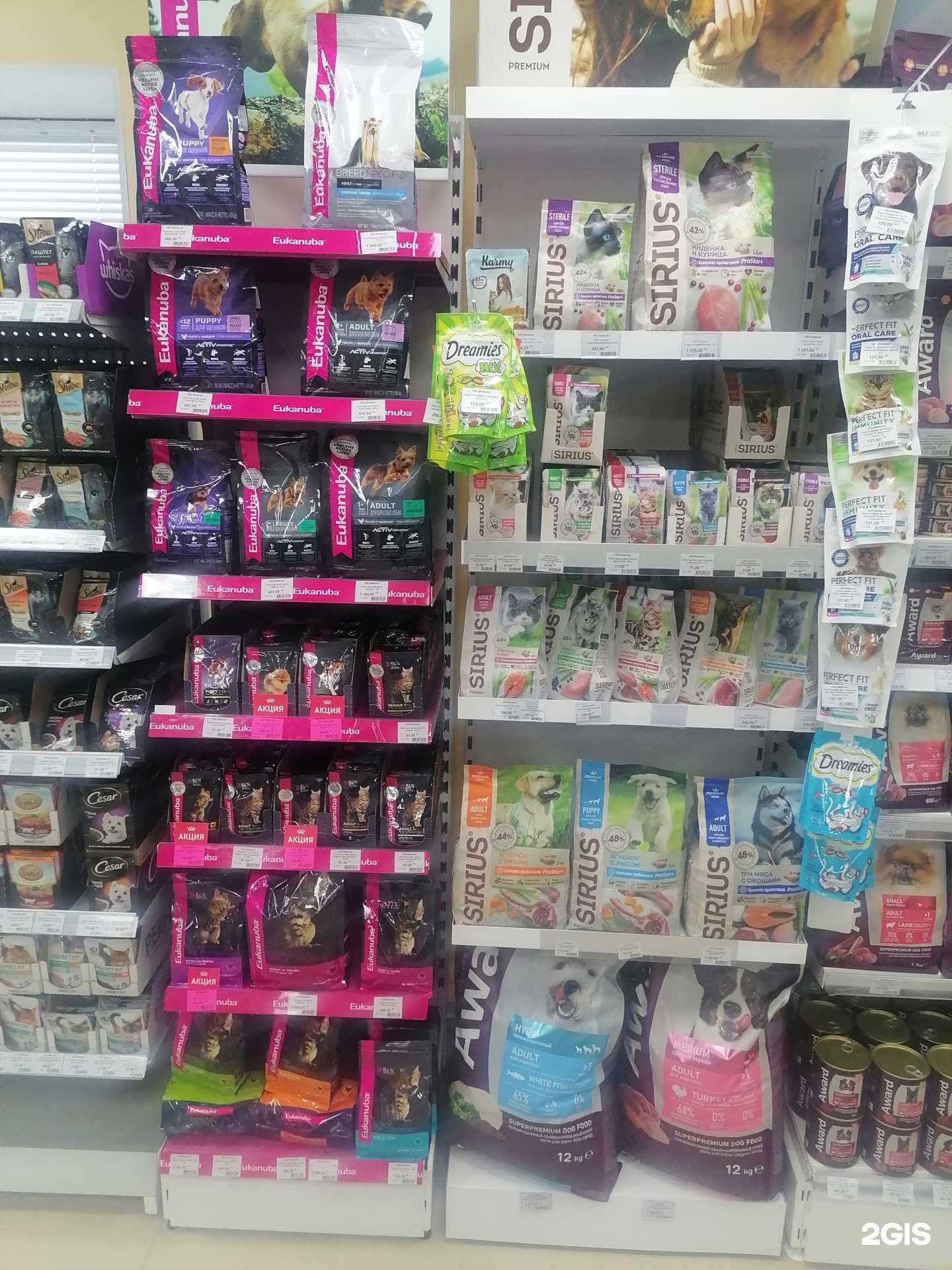 Отзывы на компанию Доктор Зоо в г. Сургут c фото