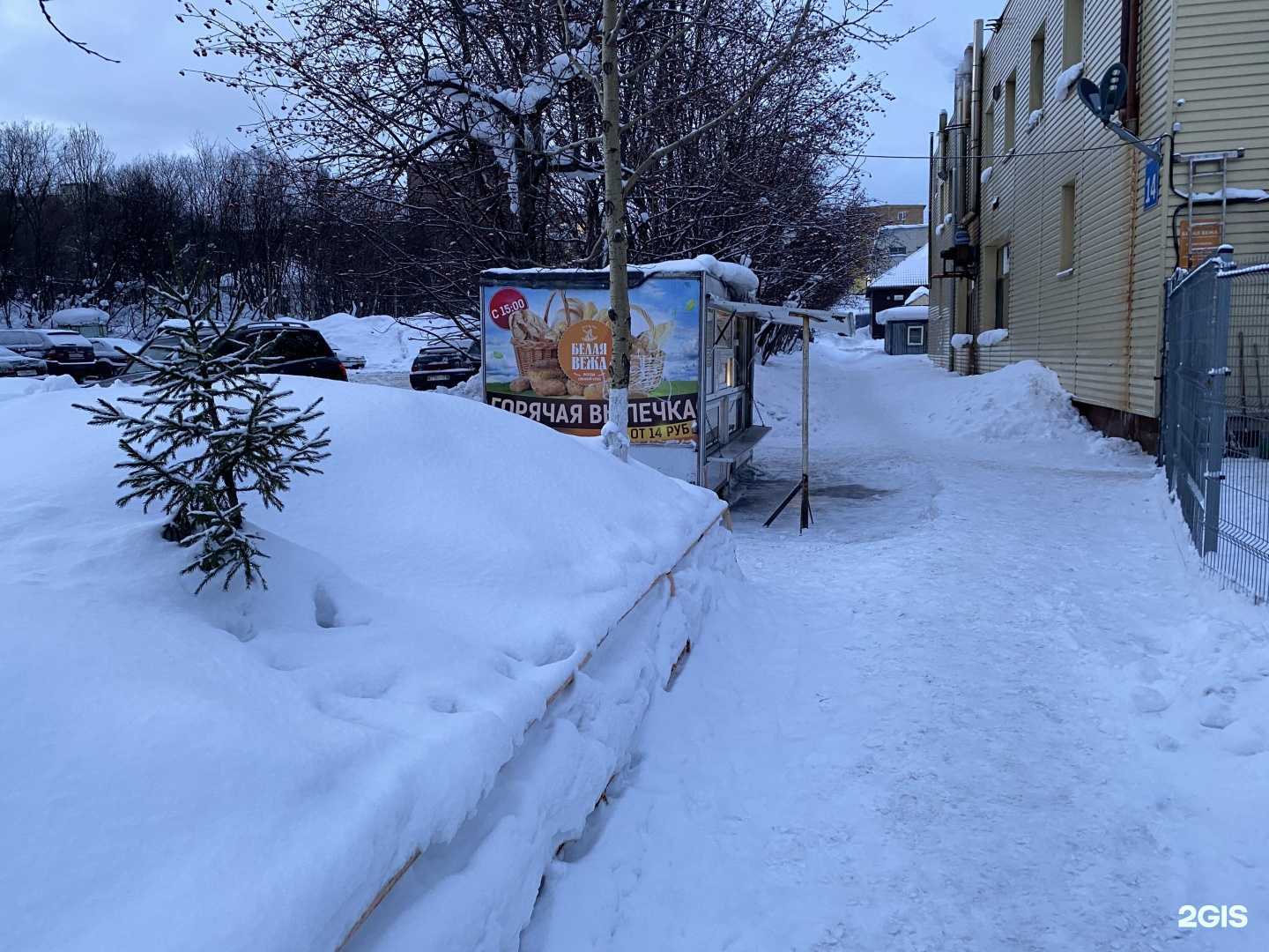 Отзывы на компанию Белая вежа в г. Мурманск c фото