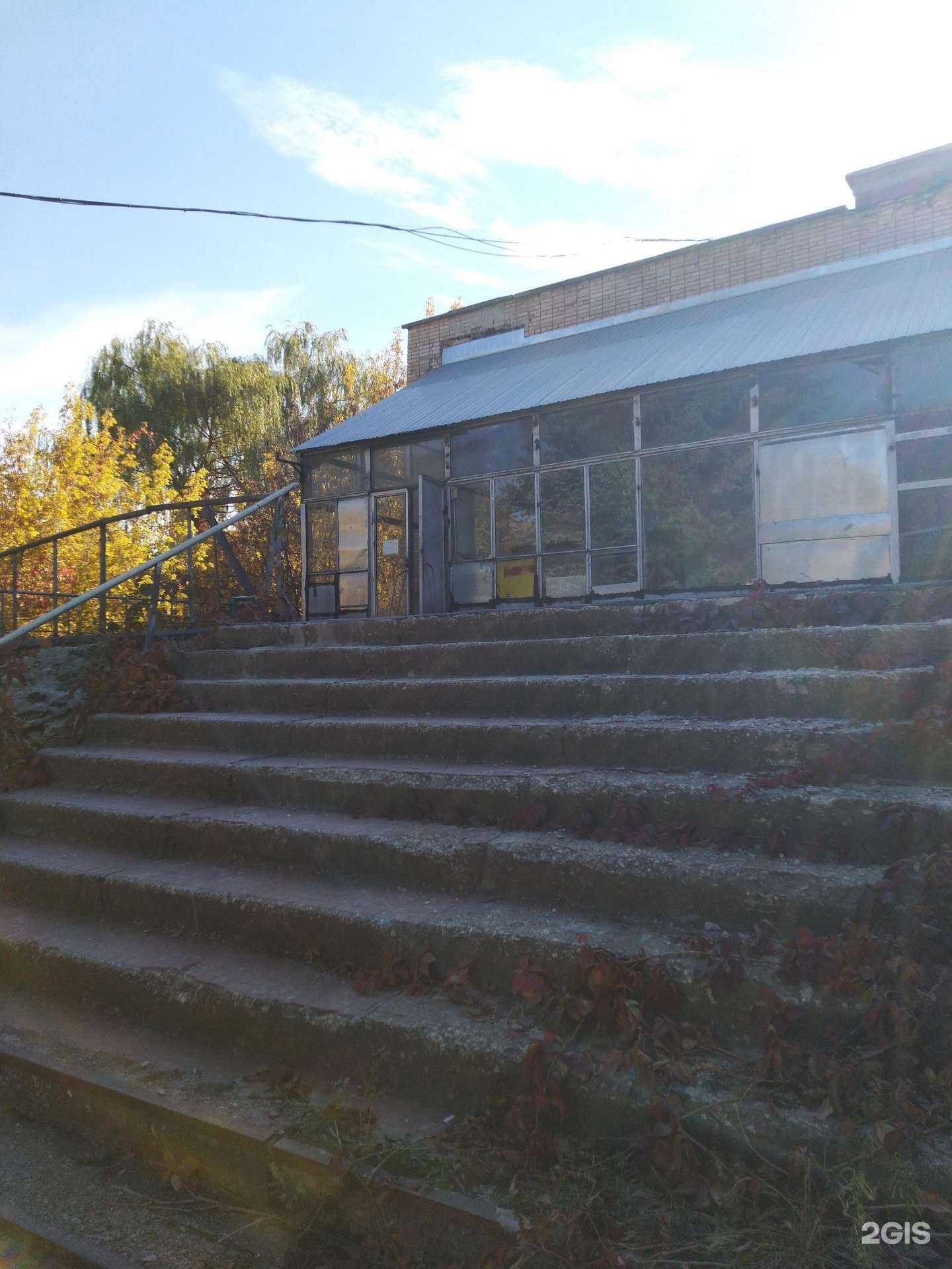 Отзывы на компанию Леона в Тольятти c фото