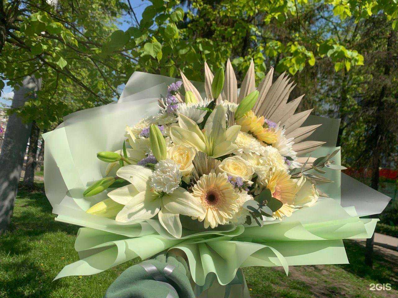 Отзывы на компанию Пальма в г. Белгород c фото