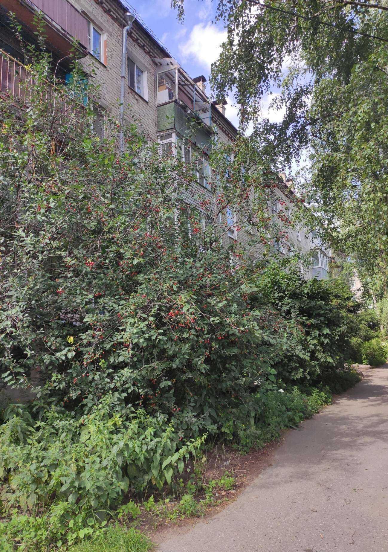 Отзывы на компанию Пижон в Боре c фото - фотография 2 из 2