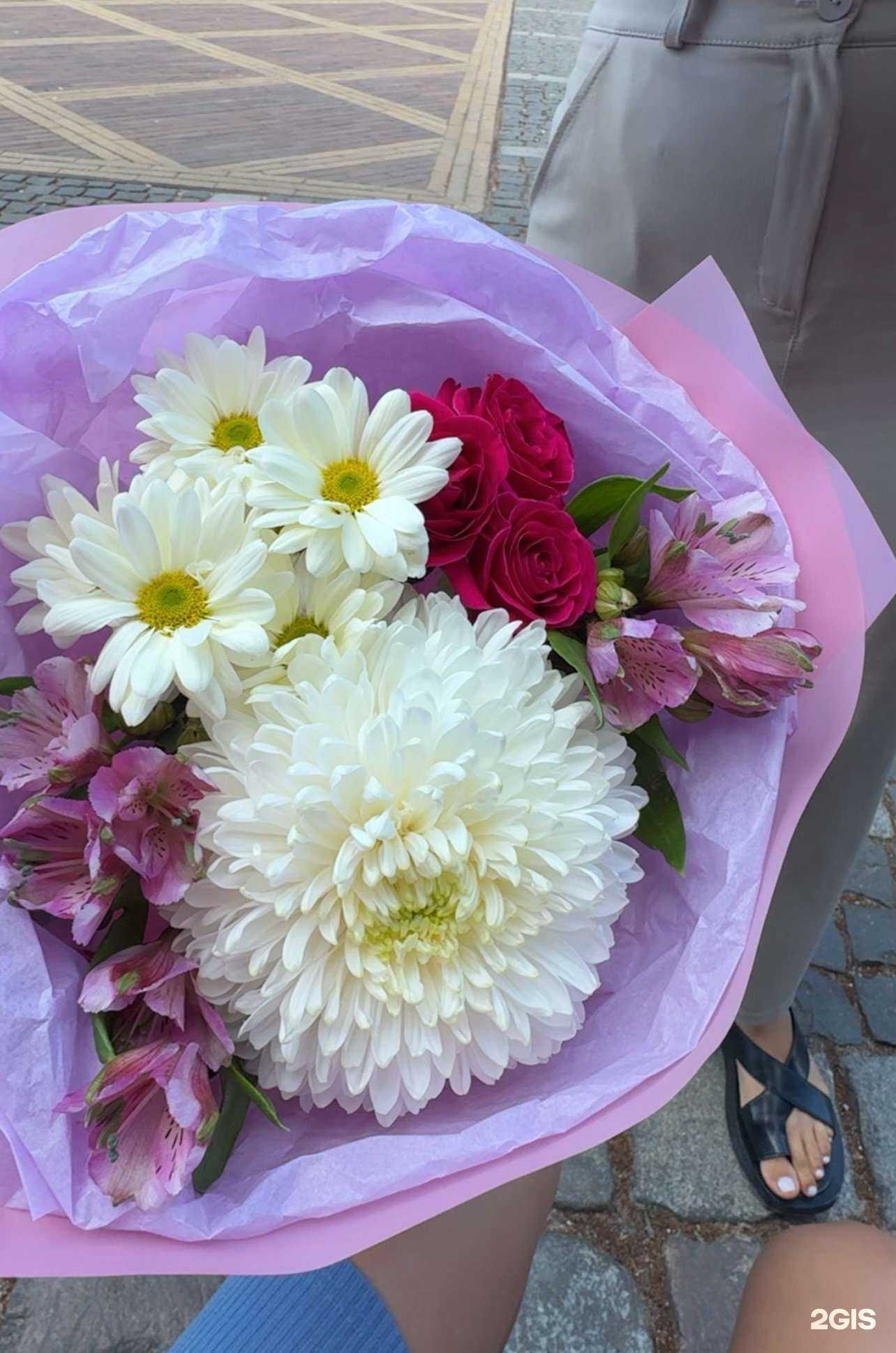 Отзывы на компанию Цветы мира в г. Калининград c фото