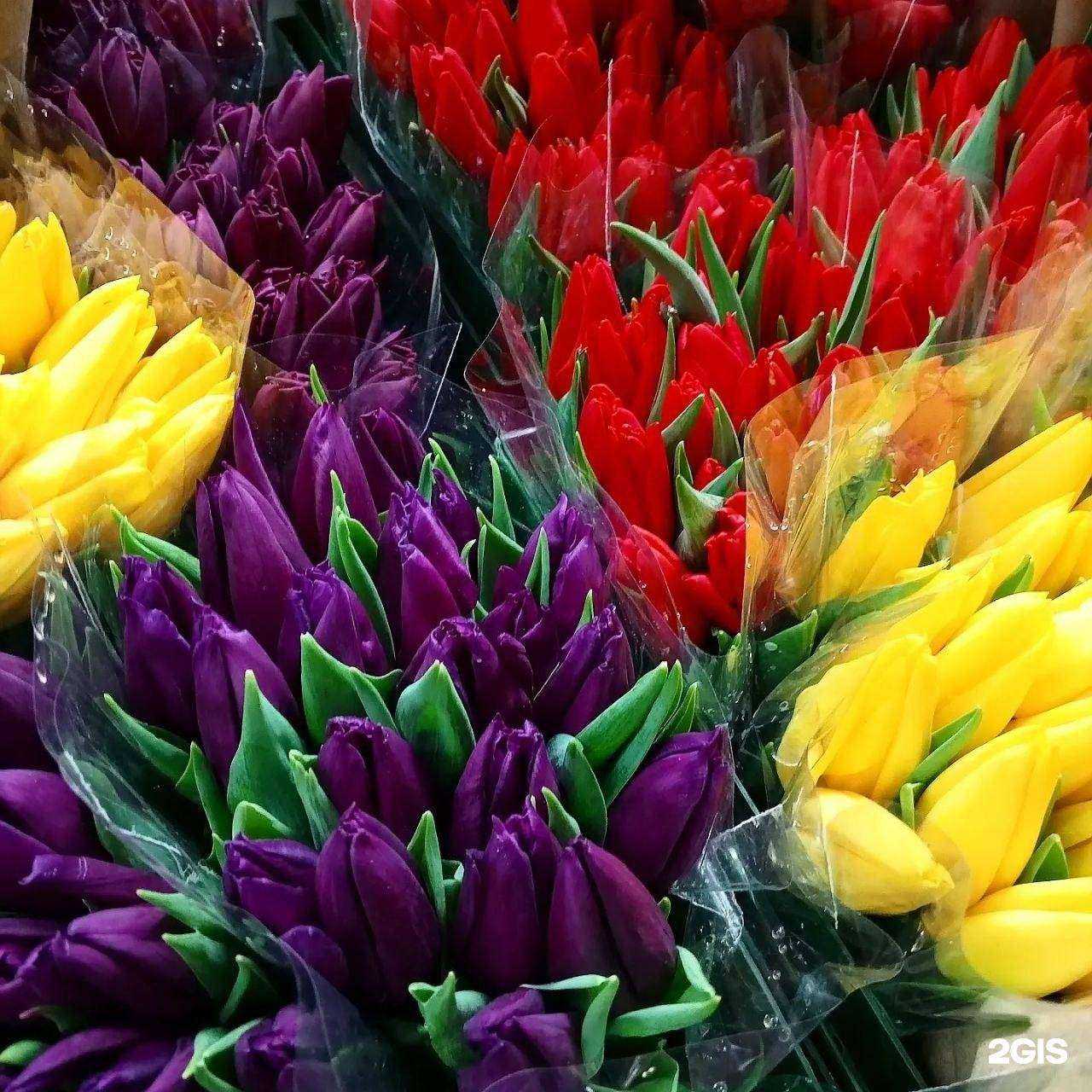 Отзывы на компанию Филфлора в г. Омск c фото