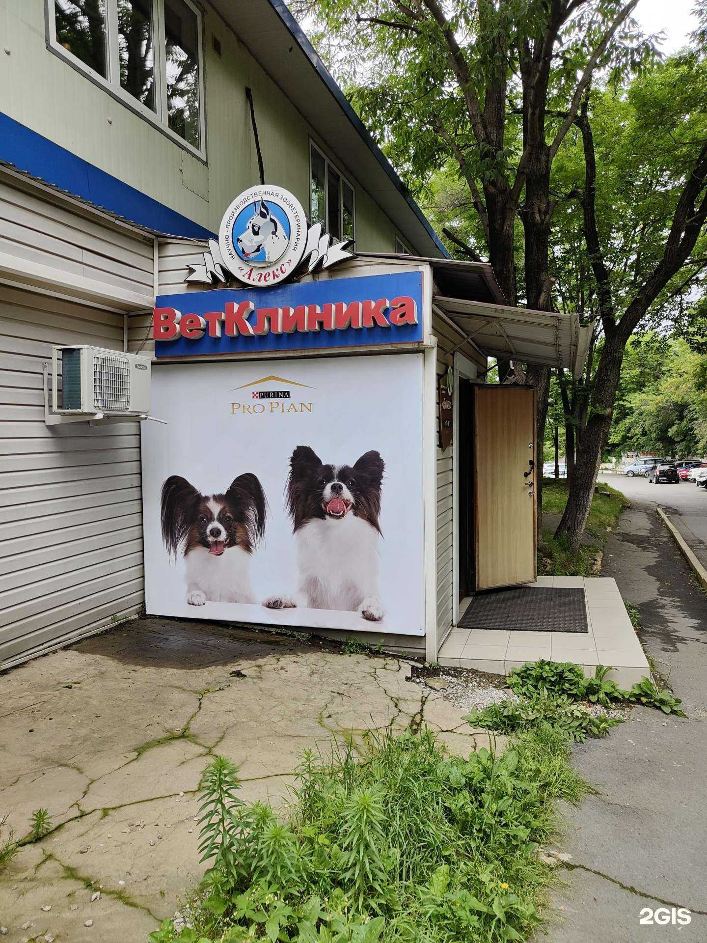 Отзывы на компанию Алекс в Владивостоке c фото