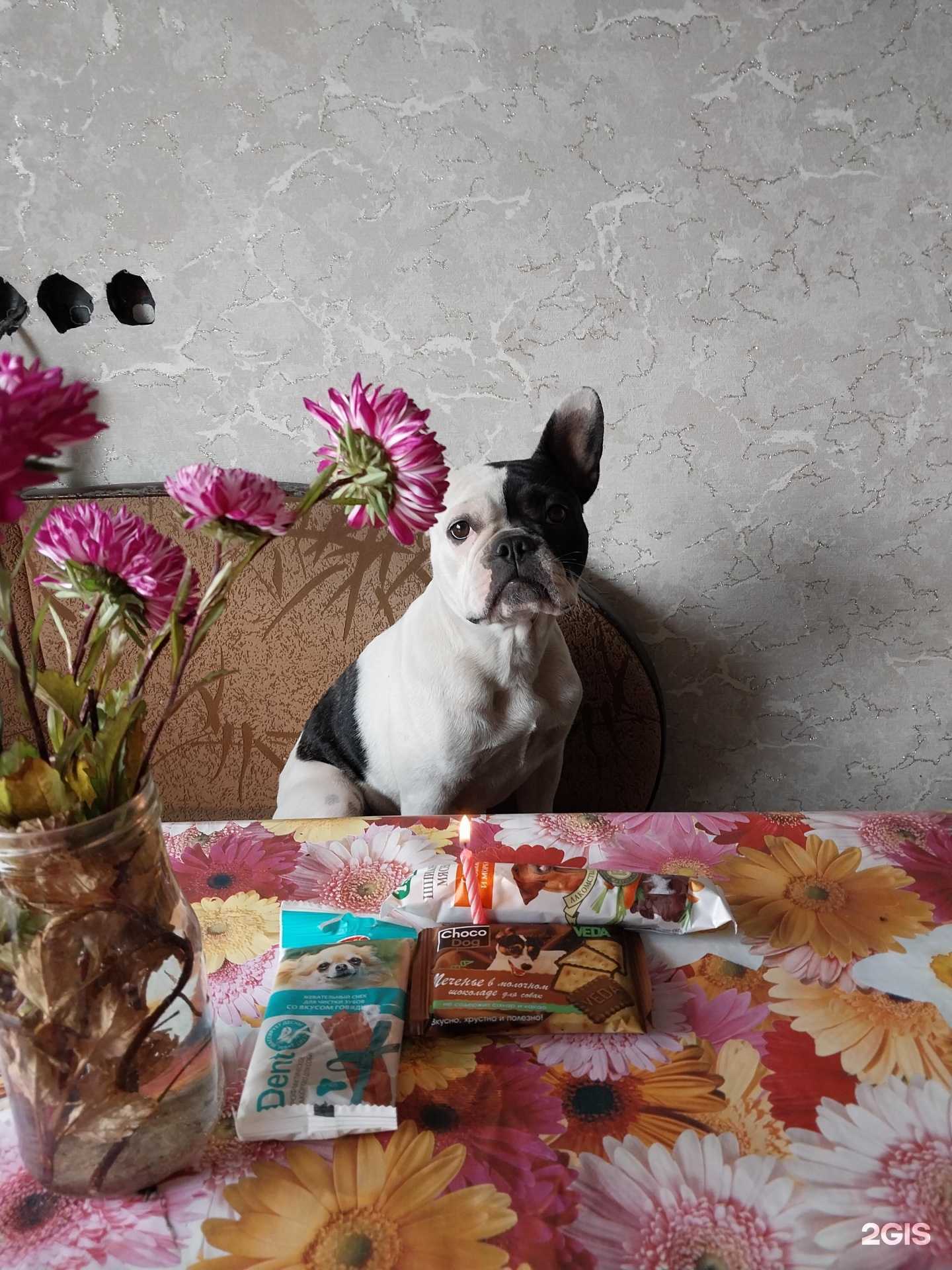 Отзывы на компанию Вега в г. Новосибирск c фото