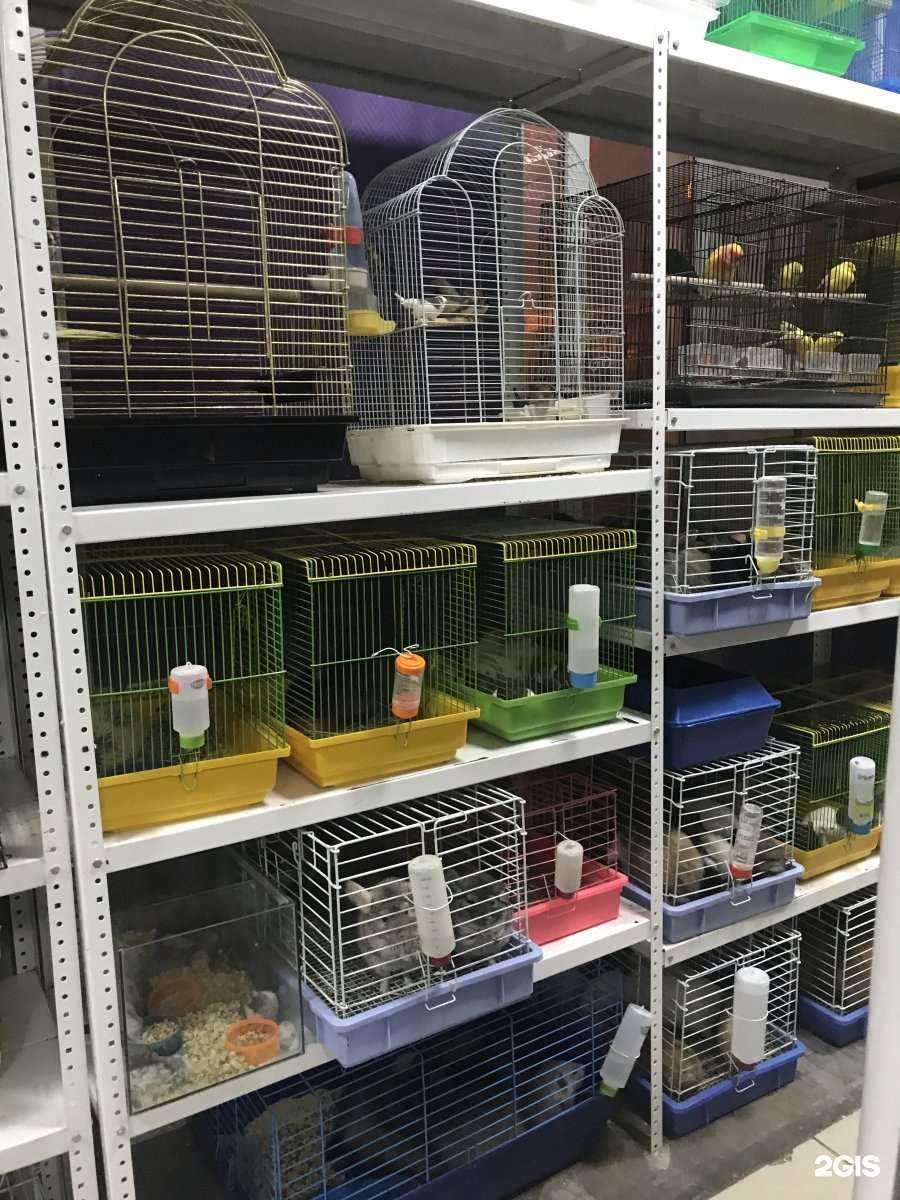 Отзывы на компанию Rio в г. Абакан c фото