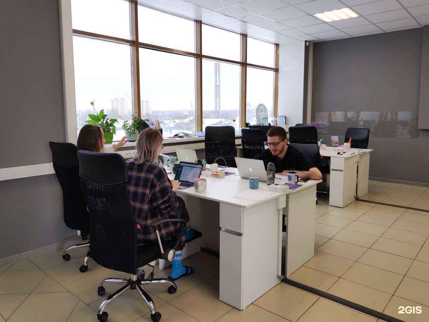 Отзывы на компанию Purrweb в г. Омск c фото