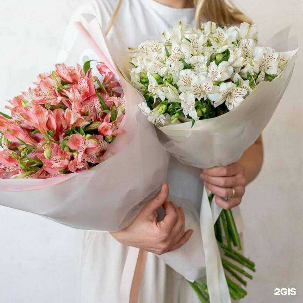 Отзывы на компанию Красрозы в Красноярске c фото