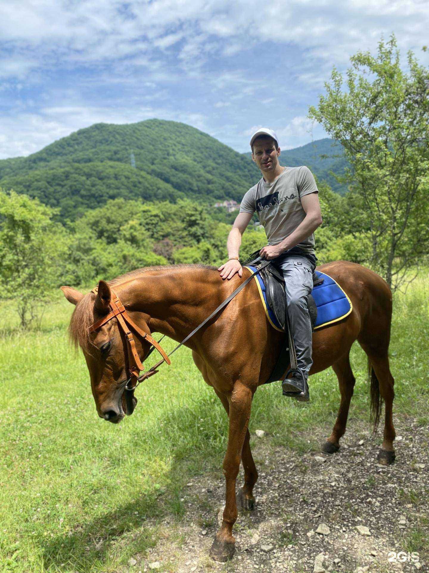 Отзывы на компанию КонТур в Сочи c фото