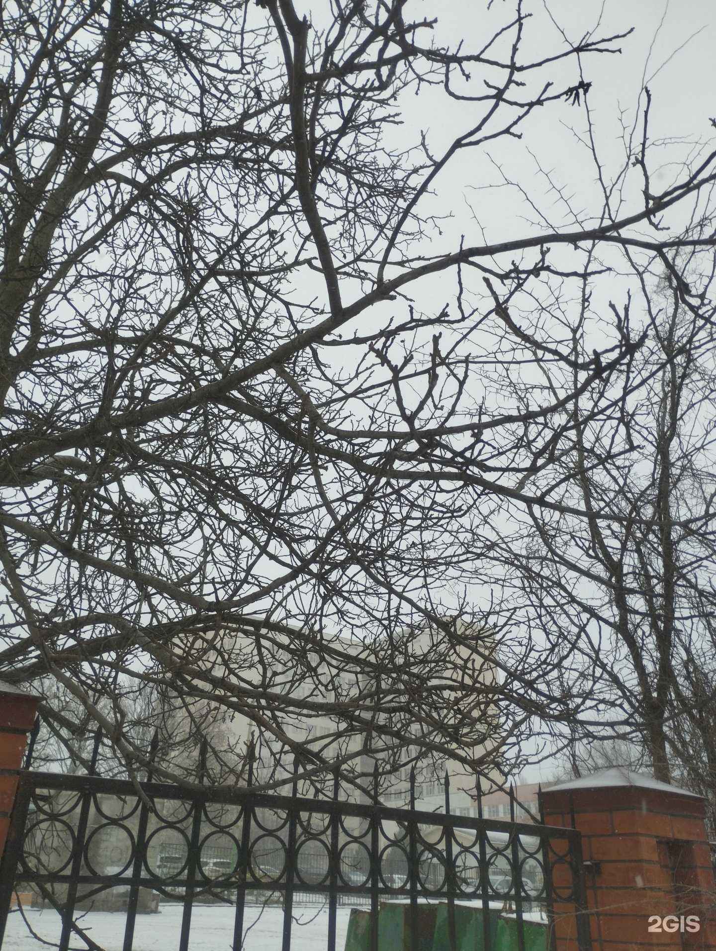 Отзывы на компанию Похоронное бюро в Ростове-на-Дону c фото