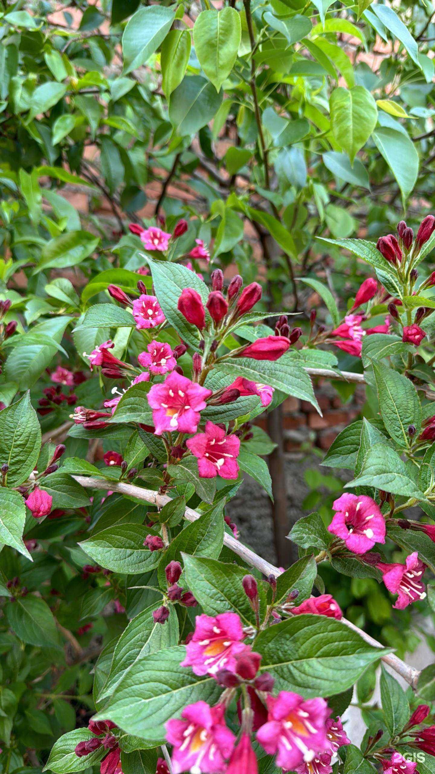 Отзывы на компанию Adam Home в Махачкале c фото