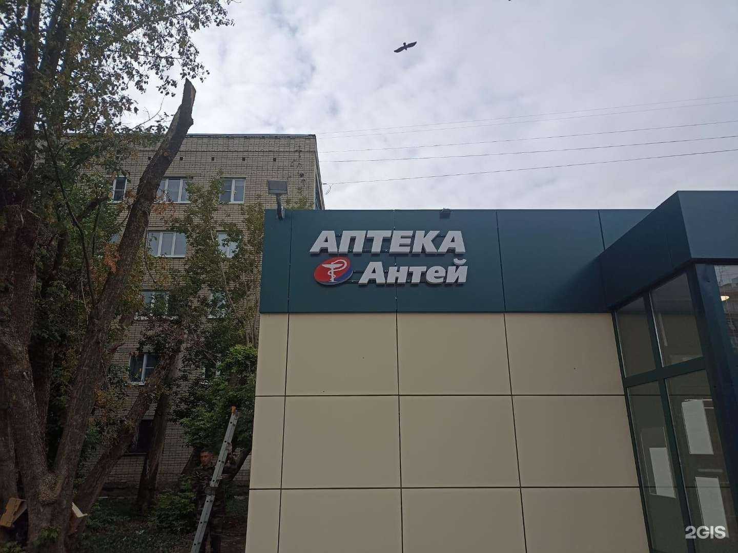 Отзывы на компанию Антей в Костроме c фото