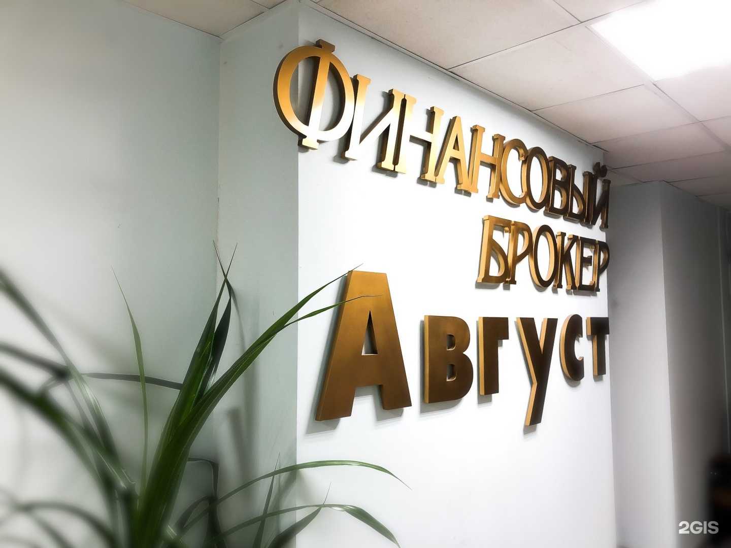 Отзывы на компанию Август в г. Волгоград c фото